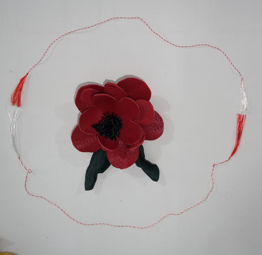 BROSA PIELE NATURALA 10